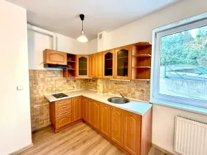 Pronájem bytu 1+kk, Praha - Libeň, Budilova, 39 m2