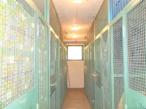 Pronájem bytu 1+kk, Zlín, Družstevní, 35 m2