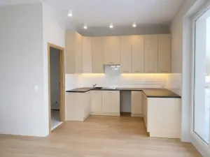 Prodej rodinného domu, Týnec nad Labem, 95 m2