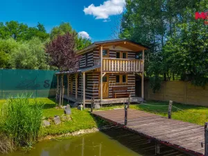 Prodej rodinného domu, Svojetín, 800 m2