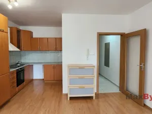 Pronájem bytu 1+kk, Liberec, Hanychovská, 47 m2
