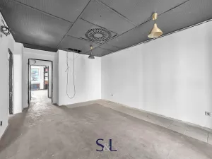 Prodej obchodního prostoru, Praha - Vysočany, Novovysočanská, 222 m2