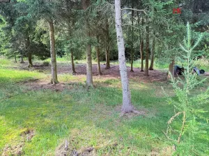Prodej chaty, Bílkovice, 80 m2