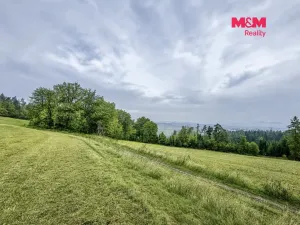 Prodej lesa, Jestřebí, 6855 m2