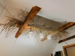 Prodej chaty, Černá v Pošumaví - Bližná, 100 m2