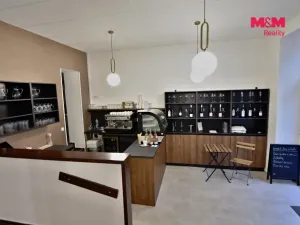 Pronájem obchodního prostoru, Mladá Boleslav - Mladá Boleslav II, Palackého, 80 m2