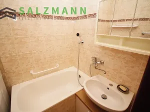 Pronájem bytu 2+1, Plzeň, náměstí Generála Píky, 48 m2