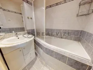 Prodej bytu 2+1, České Budějovice, Jar. Haška, 45 m2