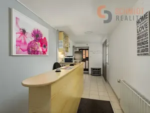 Prodej ubytování, Podivín, 450 m2