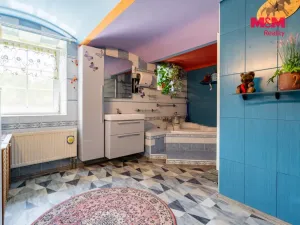 Prodej rodinného domu, Nová Ves nad Lužnicí, 829 m2