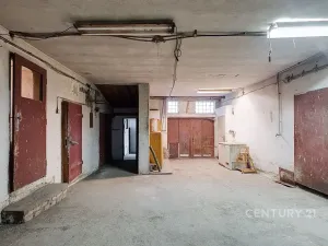 Prodej komerční nemovitosti, Horní Cerekev, 460 m2