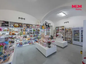 Pronájem obchodního prostoru, Kolín - Kolín III, Legerova, 61 m2