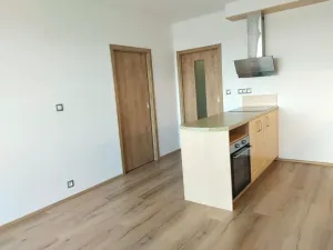 Pronájem bytu 2+kk, Plzeň, K Lutové, 51 m2