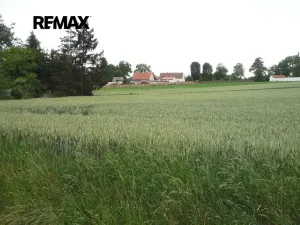 Prodej pozemku pro bydlení, Hořesedly, 985 m2