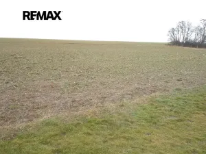 Prodej pozemku pro bydlení, Pavlíkov, 895 m2