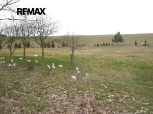 Prodej pozemku pro bydlení, Pavlíkov, 1187 m2