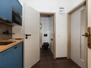 Prodej bytu 1+kk, Praha - Košíře, Vrchlického, 27 m2