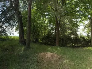 Prodej chaty, Borová, 53 m2