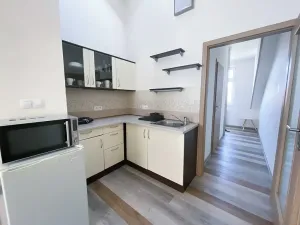 Pronájem bytu 1+kk, Praha - Vršovice, Sevastopolská, 30 m2