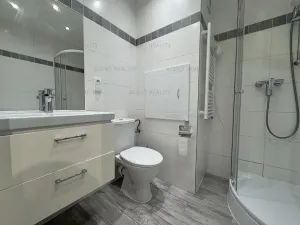 Pronájem bytu 2+kk, Slaný, Na Vavřinci, 33 m2