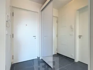 Pronájem bytu 1+kk, Praha - Čimice, Hrašeho, 46 m2