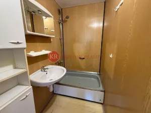 Prodej bytu 2+kk, České Budějovice, K. Štěcha, 48 m2