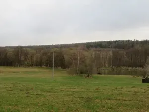 Dražba lesa, Ješetice, 8991 m2