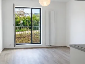 Pronájem bytu 1+kk, Brno, Zaječí hora, 29 m2