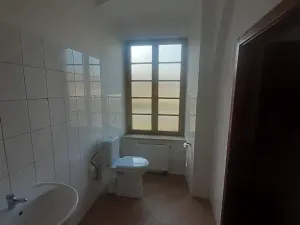 Pronájem bytu 2+1, Blšany u Loun, 75 m2
