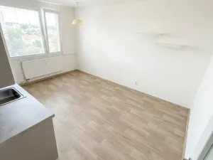 Prodej bytu 3+kk, Roudnice nad Labem, Hornická, 55 m2
