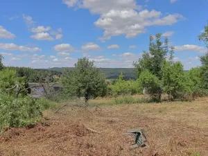 Prodej pozemku pro bydlení, Lešany, 2358 m2