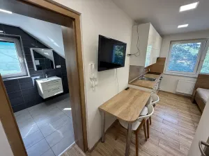 Pronájem bytu 1+kk, Zlín, Štefánikova, 22 m2
