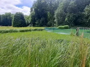 Pronájem zahrady, Tišice, 1000 m2
