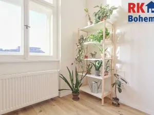 Prodej bytu 3+kk, Praha - Žižkov, Hartigova, 69 m2