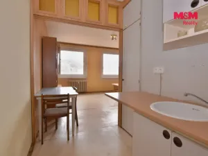 Prodej bytu 1+kk, Ústí nad Labem - Krásné Březno, Žežická, 32 m2