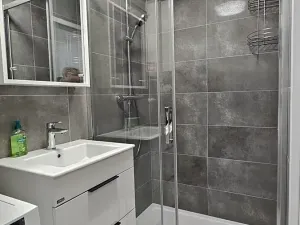 Pronájem bytu 2+1, Brno, Cejl, 53 m2