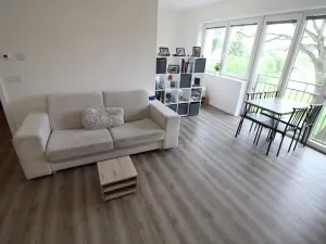 Pronájem bytu 1+kk, Zbiroh, Majerové, 40 m2