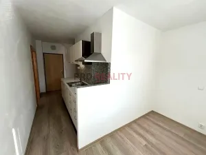 Pronájem bytu 1+1, Ostrava, Lumírova, 38 m2
