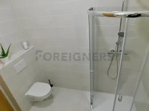 Pronájem bytu 2+kk, Plzeň, Hřímalého, 33 m2