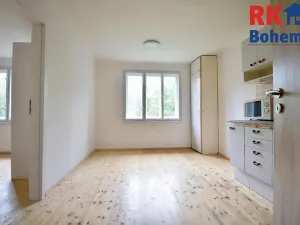 Pronájem rodinného domu, Pyšely, V Pískovně, 52 m2