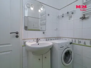 Pronájem bytu 1+kk, Brno - Slatina, Zlínská, 29 m2