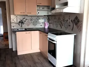 Pronájem bytu 1+1, Praha - Michle, Na úlehli, 46 m2
