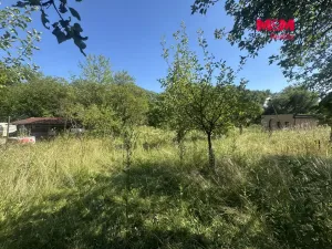 Prodej zahrady, Hranice - Hranice I-Město, 901 m2