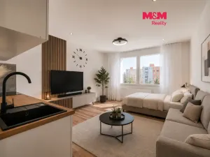Prodej bytu 1+kk, Horní Bříza, U Vrbky, 22 m2