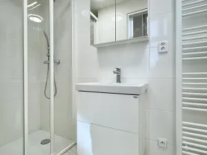Pronájem bytu 1+1, Brno, Kozí, 48 m2