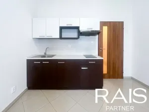 Prodej bytu 1+kk, Brno, 29 m2