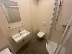 Pronájem bytu 1+kk, Praha - Vinohrady, Budečská, 22 m2