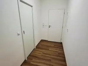 Pronájem bytu 1+kk, Praha - Vinohrady, Máchova, 30 m2