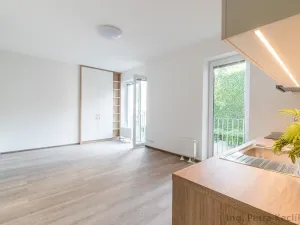 Pronájem bytu 1+kk, Brno - Zábrdovice, Francouzská, 30 m2