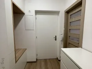 Pronájem bytu 1+kk, Brno - Zábrdovice, Francouzská, 30 m2